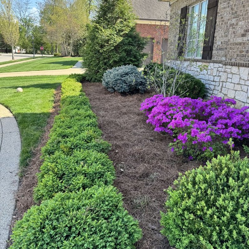 Bryant's Best Outdoor Services crew completing landscaping job in Louisville Kentucky