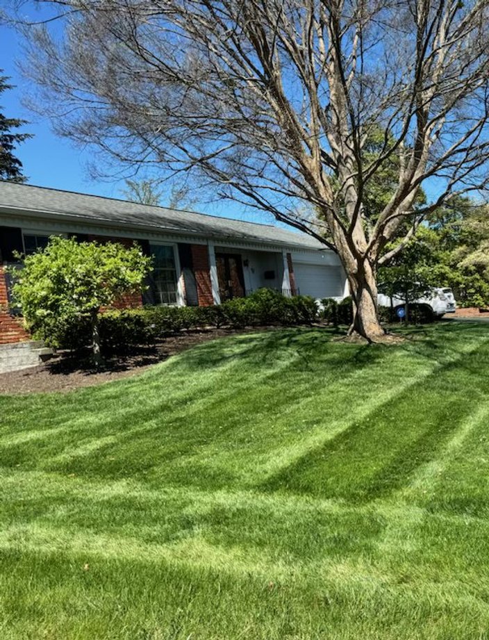 backyard lawn mowing service