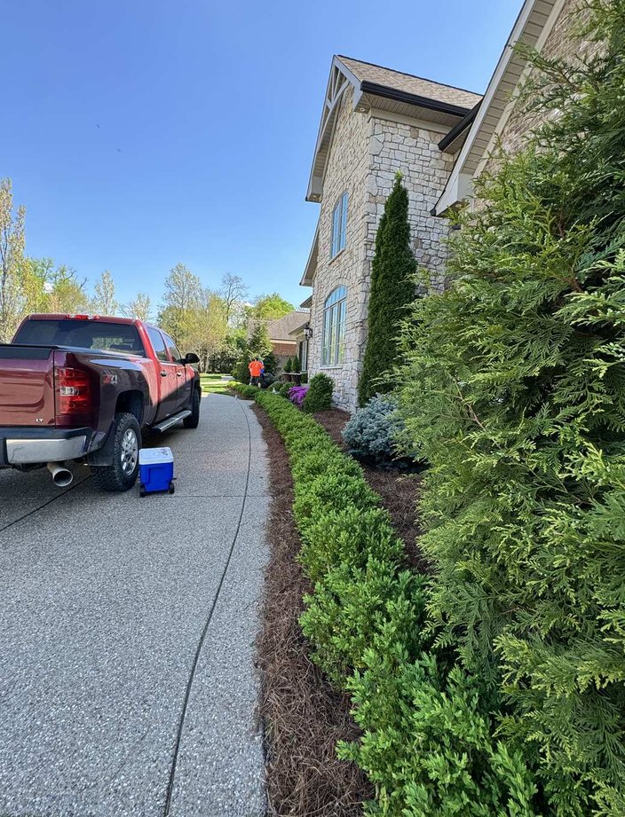 deck removal landscaping renovation