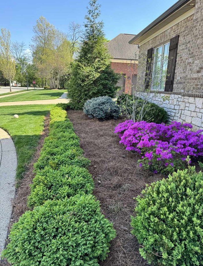 foundation planting mulch bed installation