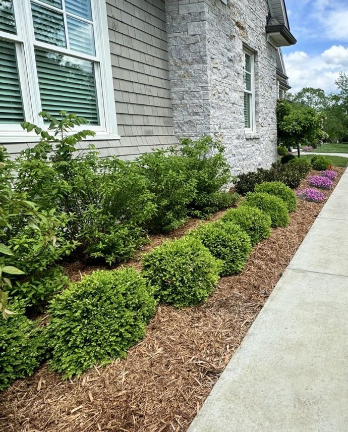 bush trimming service Louisville KY