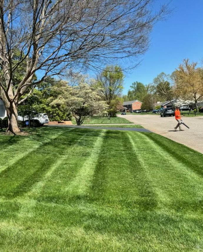 lawn cleanup blowout service Louisville Kentucky