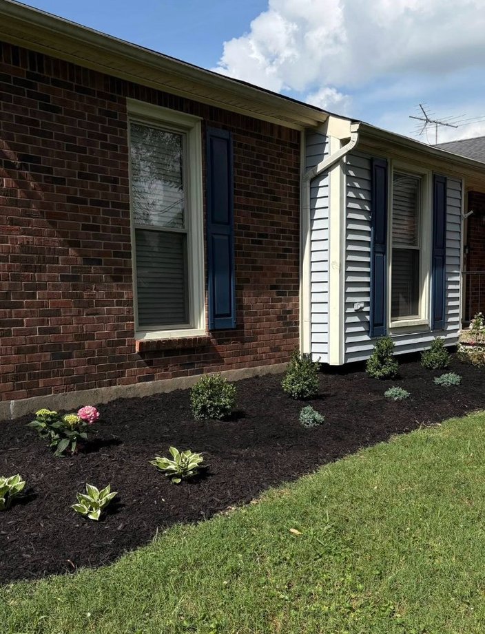 mulch bed planting foundation landscaping