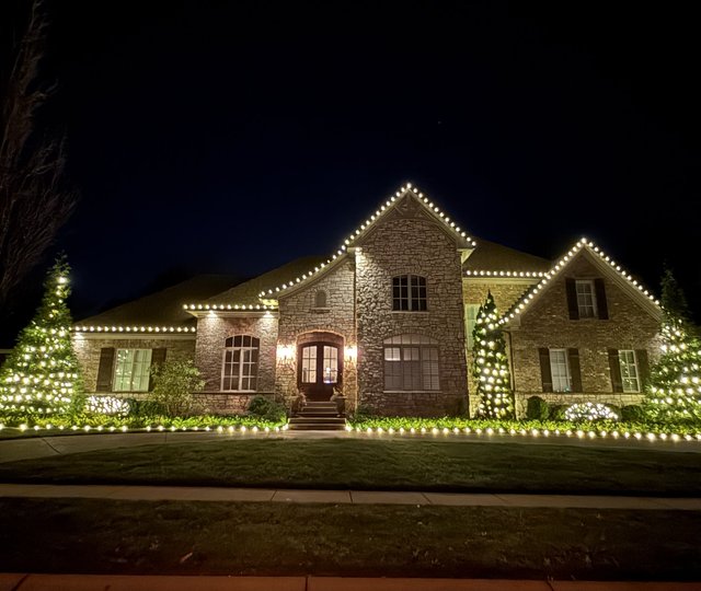 professional Christmas light installation with wrapped trees on a luxury home Louisville KY