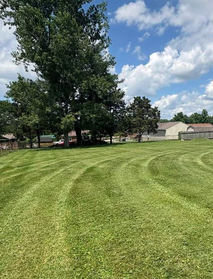 residential backyard lawn care