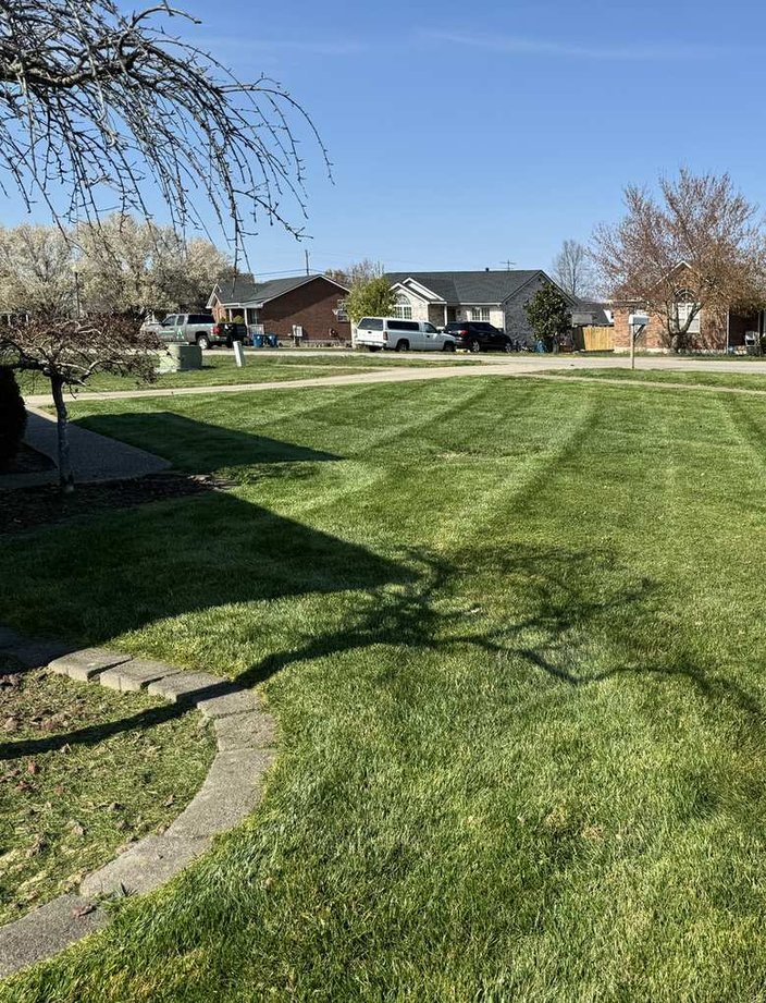 residential lawn mowing striped