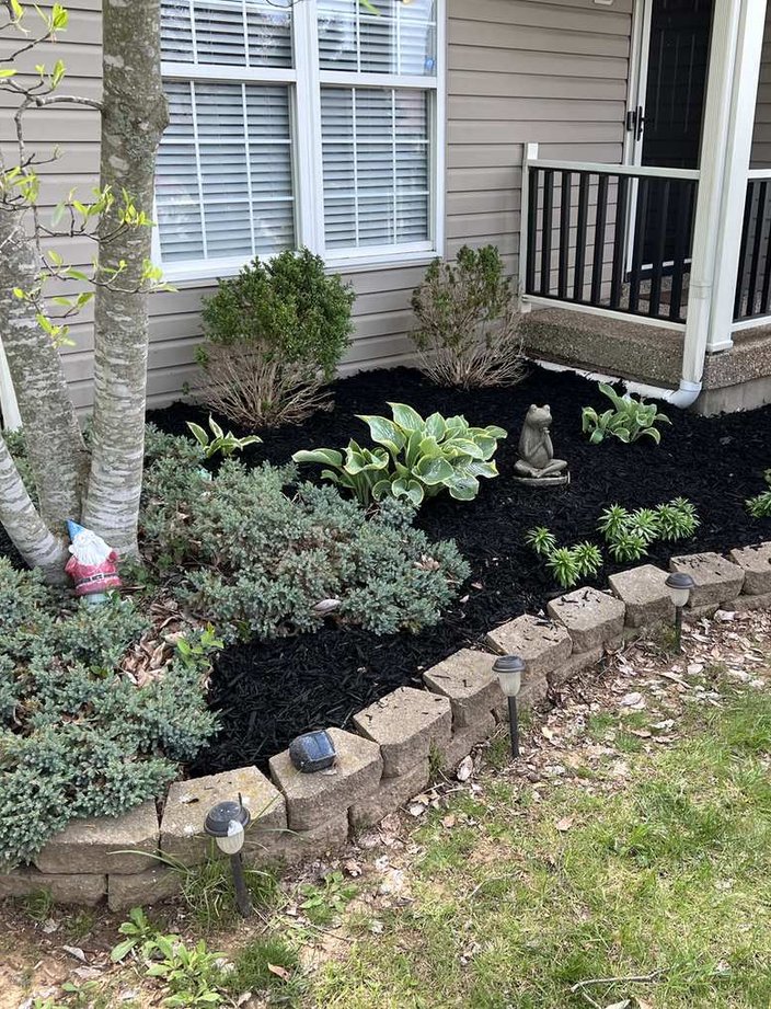 tree mulch ring installation